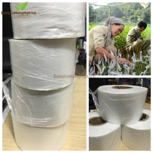 Băng ghép cây - Công Ty TNHH In Hoa Mai